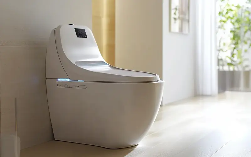 Smart Toilets: