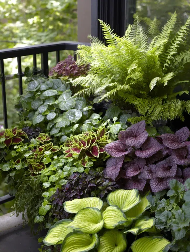 Small Balcony Garden Ideas: Shade-Loving Plant Selection